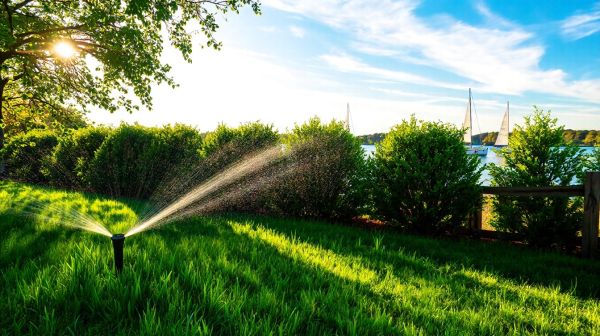 Top Budget-Friendly Lawn Care Options in the South Shore
