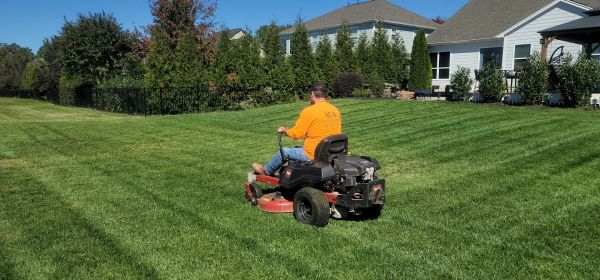 Top Budget-Friendly Lawn Care Options in the South Shore
